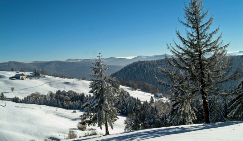 Massif des Vosges