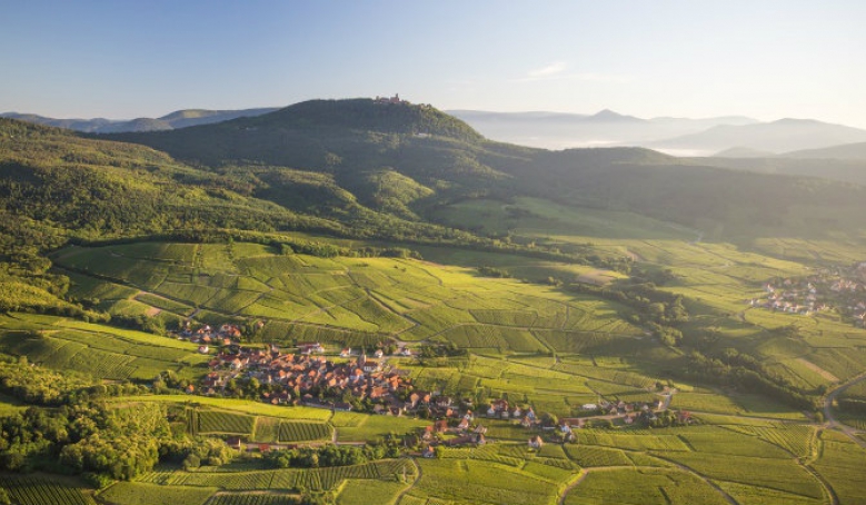 Route des Vins d'Alsace